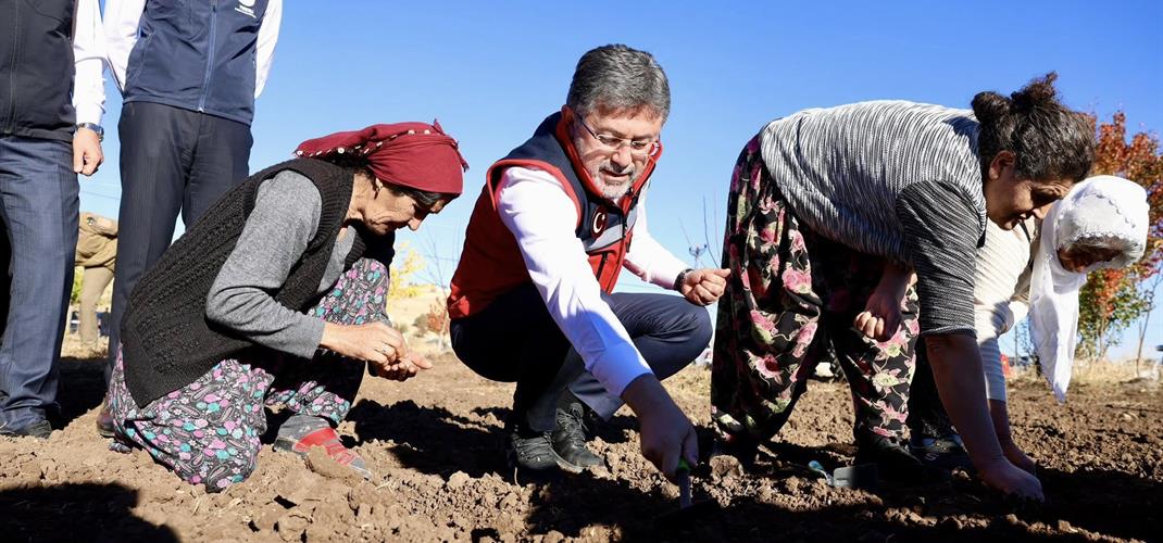 BAKANIMIZ YUMAKLI, İLİMİZDE COĞRAFİ İŞARETLİ DAĞ SARIMSAĞININ EKİMİNİ YAPTI