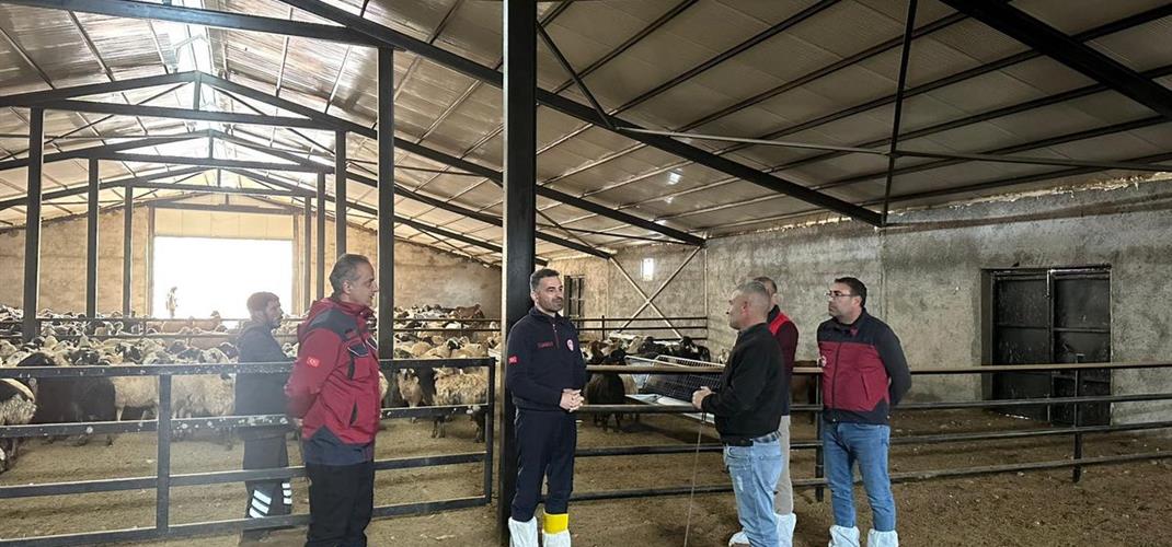 KIRSAL KALKINMA DESTEKLERİYLE HAYVANCILIĞA GÜÇLÜ YATIRIM